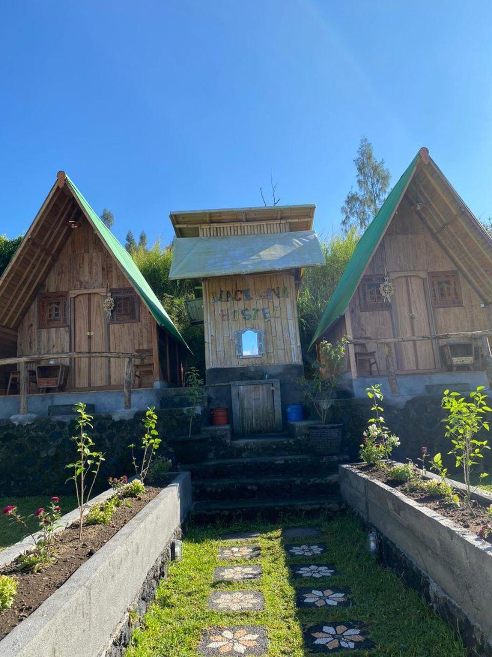 Black Lava Hostel&lodge Kintamani